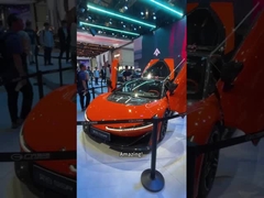 Op de autosalon: Wat een coole auto deur! Hoe wordt deze in de industrie geproduceerd?