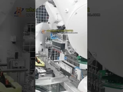 Dual-Robot Clip Insertion Cell voor montage van auto-onderdelen