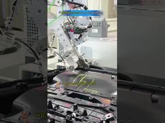 Assemblagelijn voor portierpaneel: sponsstrips persen → Heetnietlassen → Schroeven aandraaien